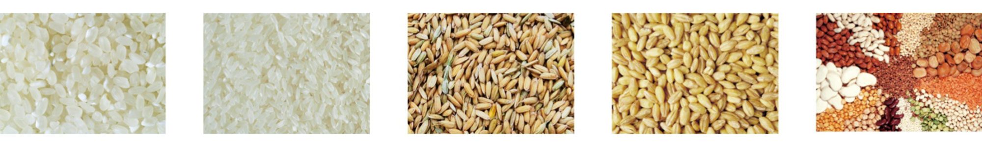 Sistema de pesaje y envasado Weighing and packaging system