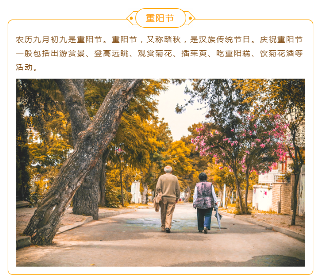 202302031675394801309366.png 重陽(yáng)節(jié)02.png