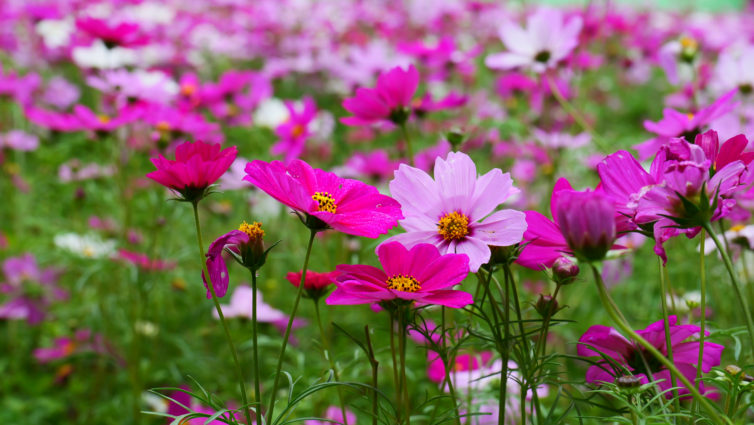 202312221703211177274666.jpg P1000846.JPG